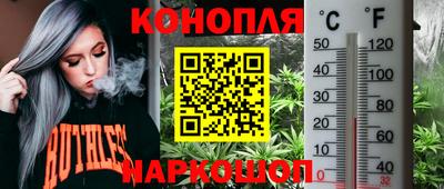 мет Моздок